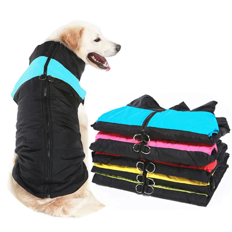 Vestiti invernali per cani da compagnia Cappotto caldo per cani di taglia grande Abbigliamento per cuccioli Giacca impermeabile per cani di taglia piccola, media e grande Golden Retriever