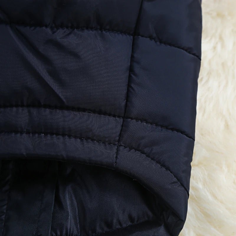 Vestiti invernali per cani da compagnia Cappotto caldo per cani di taglia grande Abbigliamento per cuccioli Giacca impermeabile per cani di taglia piccola, media e grande Golden Retriever - drollido