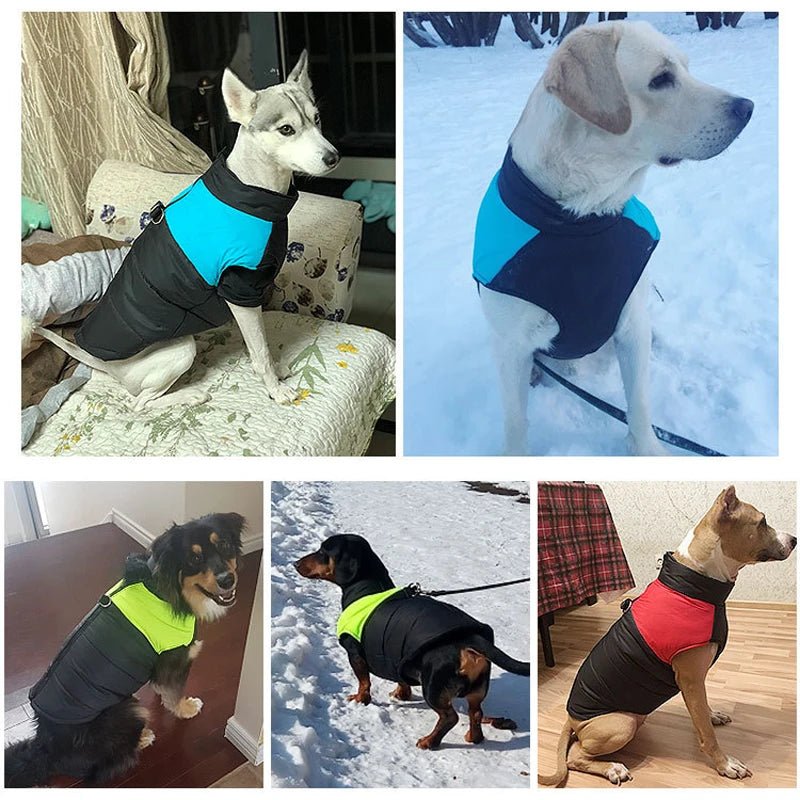 Vestiti invernali per cani da compagnia Cappotto caldo per cani di taglia grande Abbigliamento per cuccioli Giacca impermeabile per cani di taglia piccola, media e grande Golden Retriever - drollido